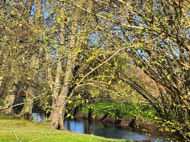 Thumbnail-Zuhause statt einfach nur Immobilie - gepflegtes Reihenhaus mit idyllischem Garten an der Mühlenau