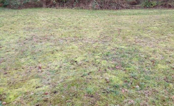 Thumbnail-Grundstück in Lage-Waddenhausen für Ihr massives Traumhaus von CONCEPT HAUS