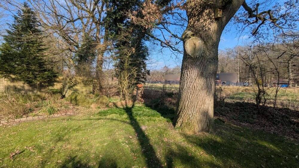 Blick ins Grüne