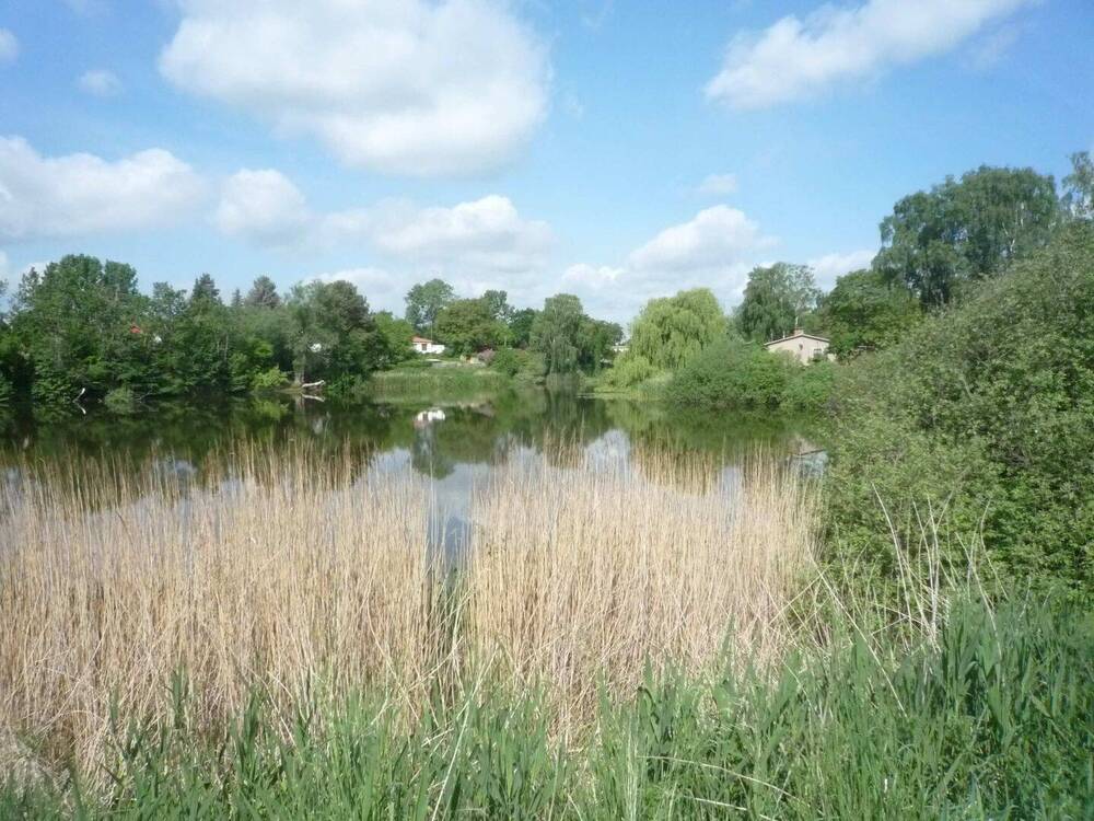 Thumbnail-Natur pur und doch Citynah -Doppelhaushälfte in Hönow mit U-Bahnanbindung zum Berliner Hauptbahnhof