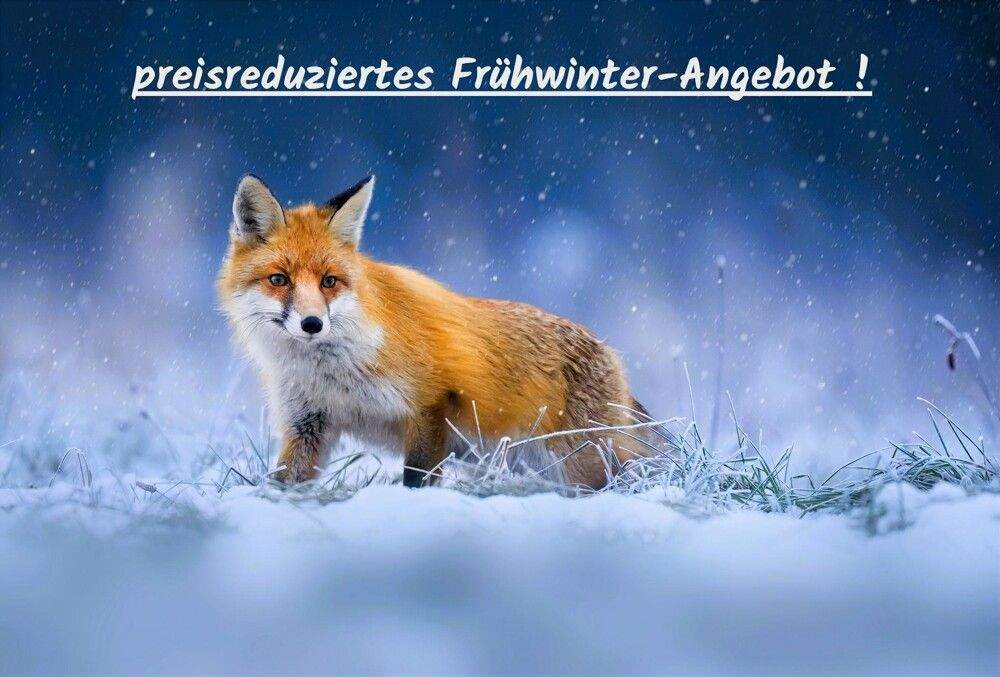 Thumbnail-*** renovierungs-bedürftiges 2 bis 3-Familienhaus mit viel Wohnraum, Garage u. 2 Stellplätze ... ***