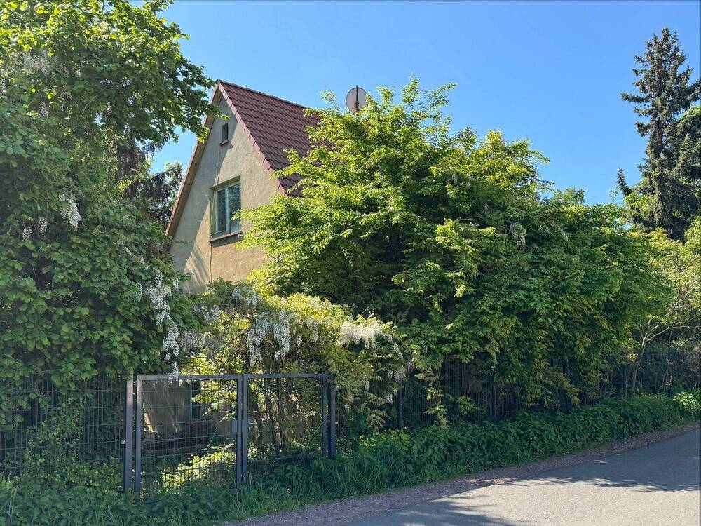 Seitenansicht