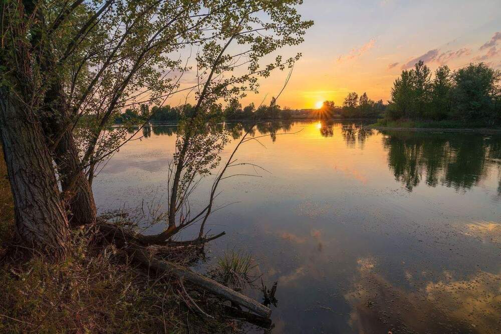 Thumbnail-FAMILIENWOHNEN AM GRILLENSEE | 4–5 Zimmer ab 99 m² | Natur, Ruhe & viel Platz – nur wenige Minuten von Leipzig