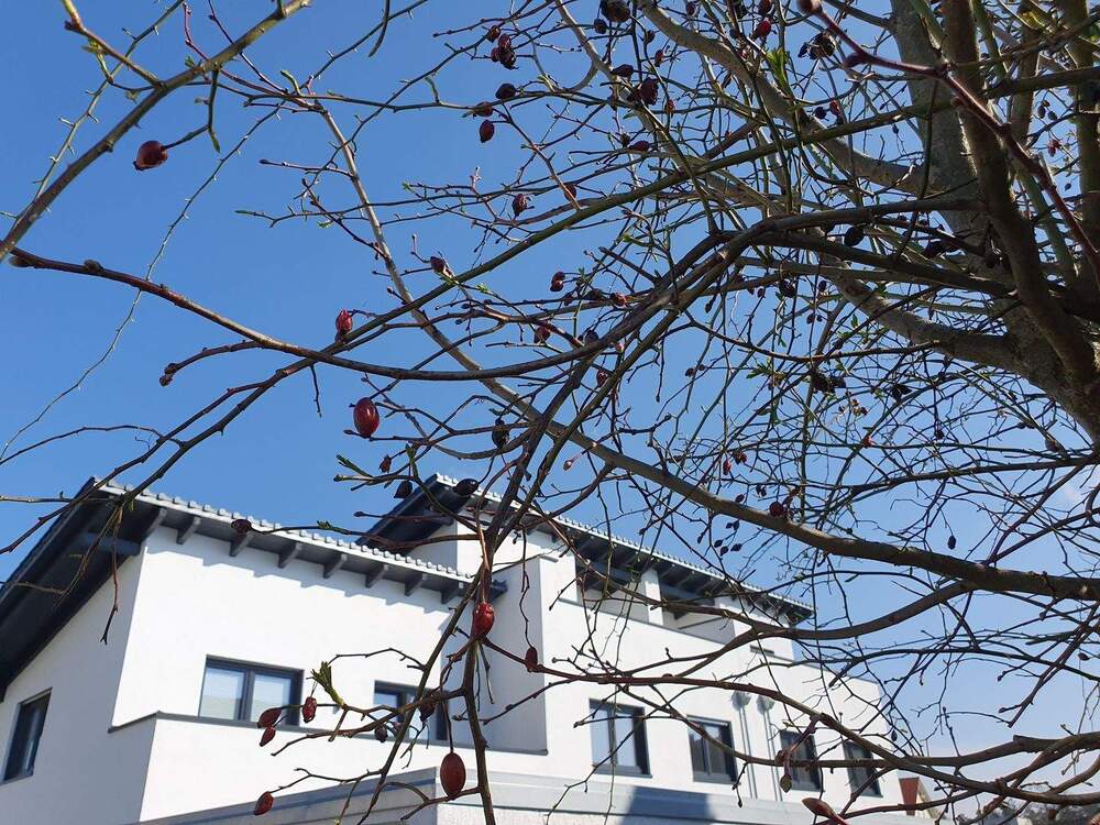 Ansicht Süd