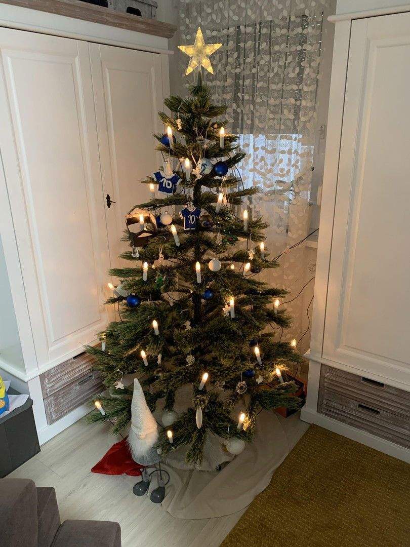 Thumbnail-4-Zimmer-Erdgeschosswohnung mit großer Terrasse in Bammental zu vermieten