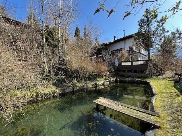 2370, DHH mit Teich 