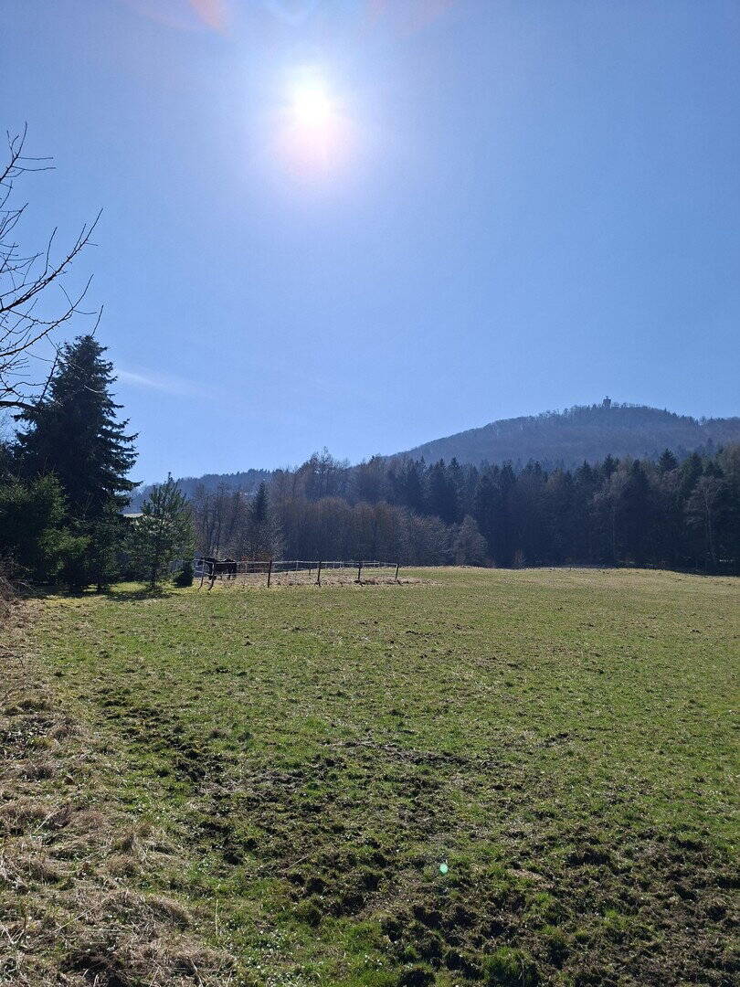 Thumbnail-Wohnen wo andere abschalten-Haus mit Blick auf die Lausche in traumhafter Naturlage