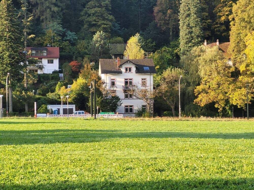 Thumbnail-4,5-Zi-Whg 95qm oder eine 4,5-Zi-Whg 88qm + in Gründerzeit-4-FamHs + mit Fabrik-Loft + mit GartenWerkstattHaus + Paradiesgarten