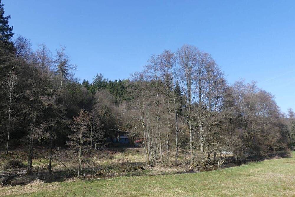 Thumbnail-***Direkt am Waldrand liegt dieses gemütliche Wohnhaus mit eigenem Wald und Wiesen in Mossautal-Hüttenthal***