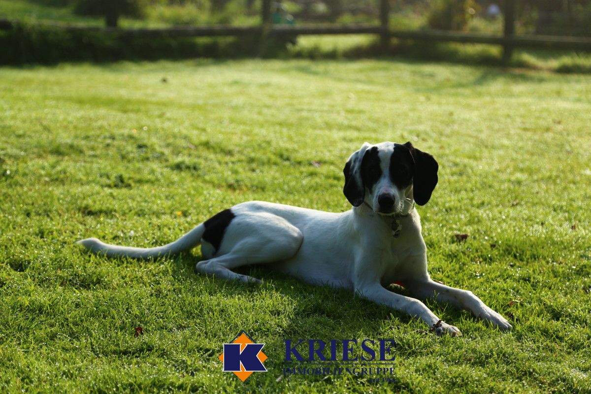 Thumbnail-Großes Baugrundstück mit Altbestand im Zentrum von Germering in ruhiger Lage
