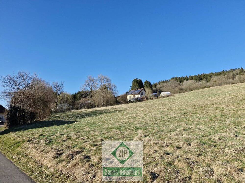 Thumbnail-Baugrundstück in Willwerath - 800 m² Natur pur