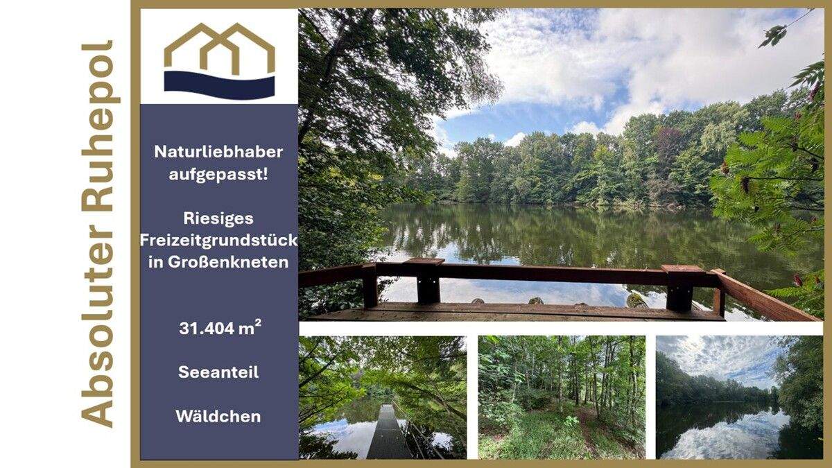 Thumbnail-Exklusive Seeliegenschaft in Großenkneten 31.404m² Naturidyll mit privatem Steg und eigenem Wäldchen