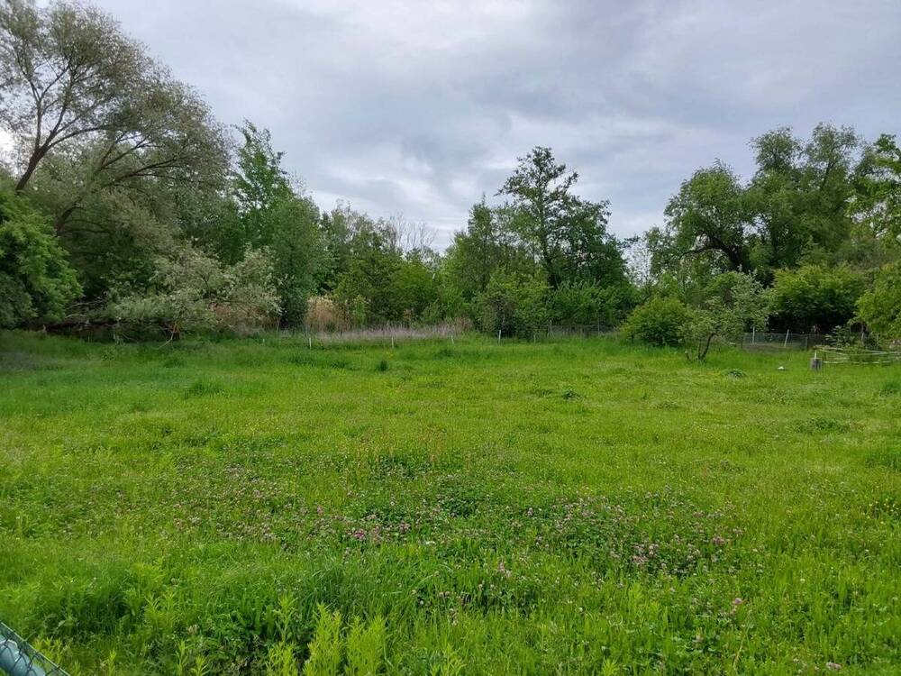 Thumbnail-Exklusives Baugrundstück in einmaliger Naturlage - bauträgerfrei an den Haselbacher Teichen