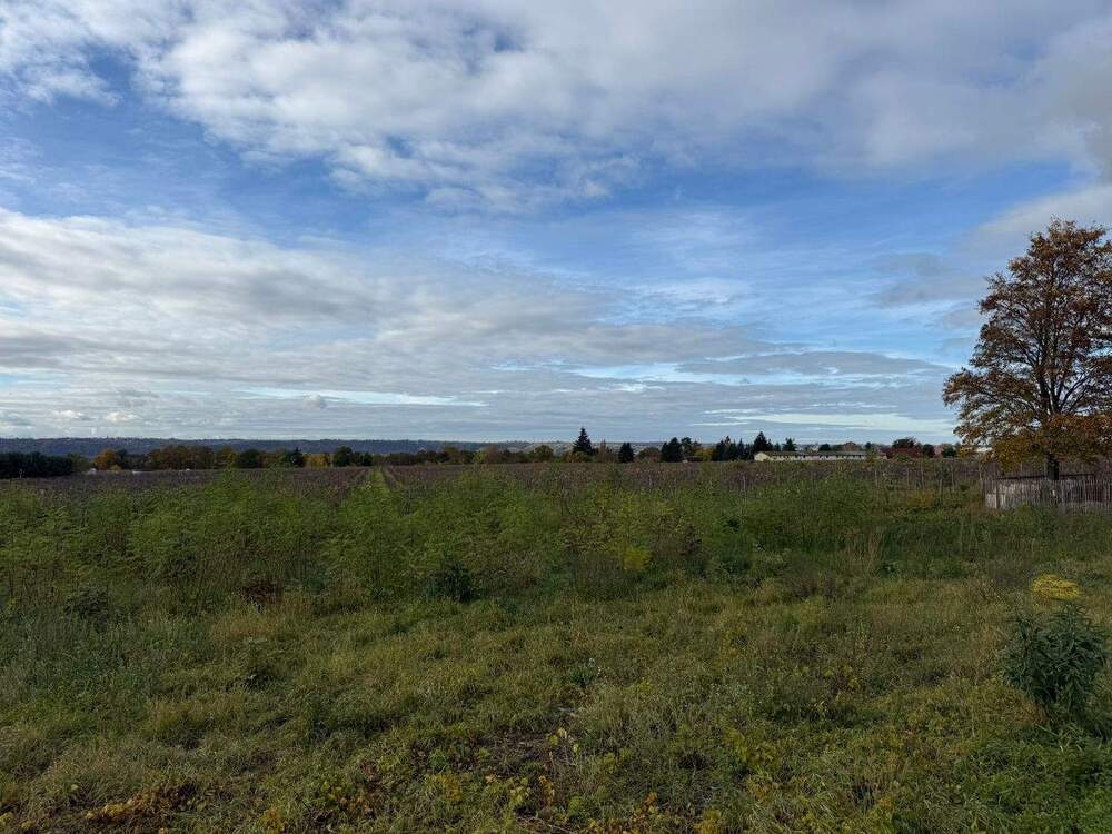 Thumbnail-Baugrundstück in Weinböhla ++ Ruhige Höhenlage - gemächlich an den Weinbergen