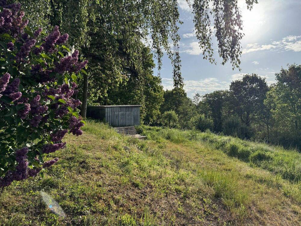 Thumbnail-Naturgrundstück für Tinyhaus oder Jurte im Landschaftsschutzgebiet des Naturparks Stettiner Haff