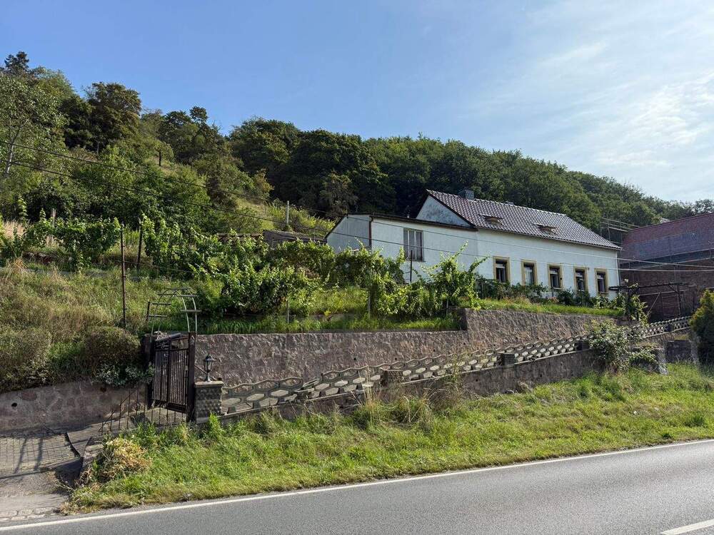 Thumbnail-Großzügiges Hanggrundstück mit Altbestand und herrlichem Elbe Blick