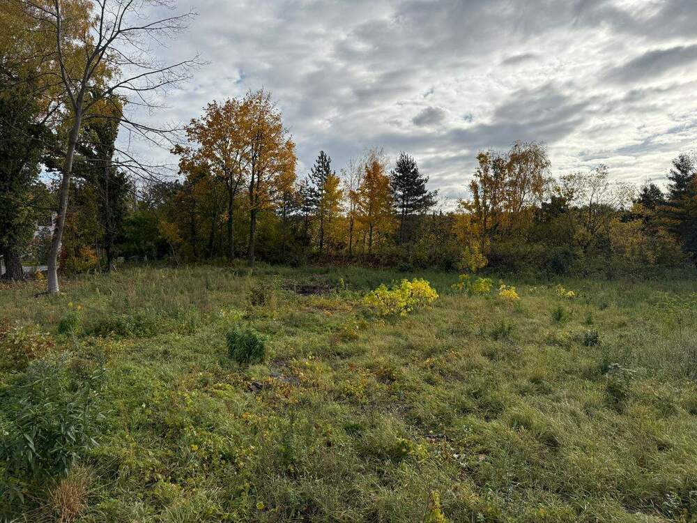 Thumbnail-Baugrundstück in Weinböhla ++ Ruhige Höhenlage - gemächlich an den Weinbergen