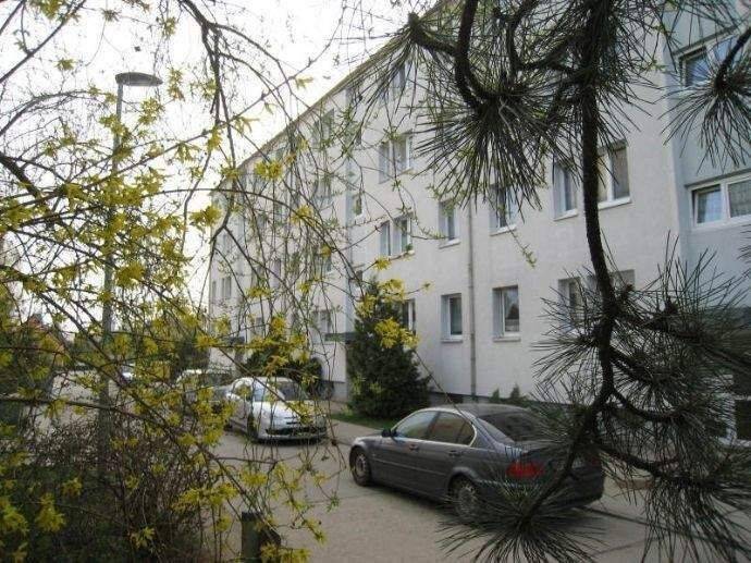 Thumbnail-Mit Balkon: Günstige 3-Zimmer-Wohnung (frisch renoviert, 1. OG)