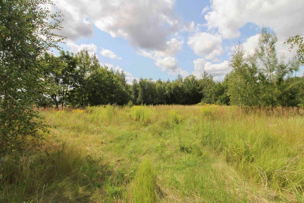 Thumbnail-Ihr neues zu Hause in sonniger Feldrandlage - zwei große Baugrundstücke in Chemnitz Adelsberg