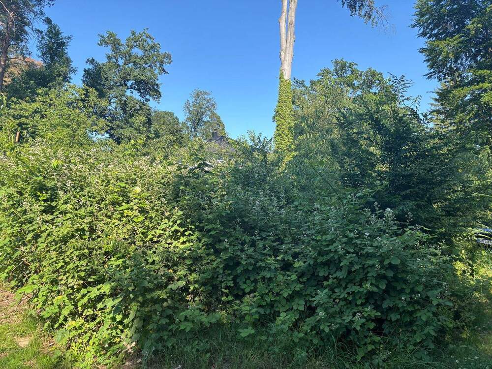 Thumbnail-NEUER PREIS Großes Baugrundstück für Einfamilien- oder Doppelhaus in Schönwalde- Glien