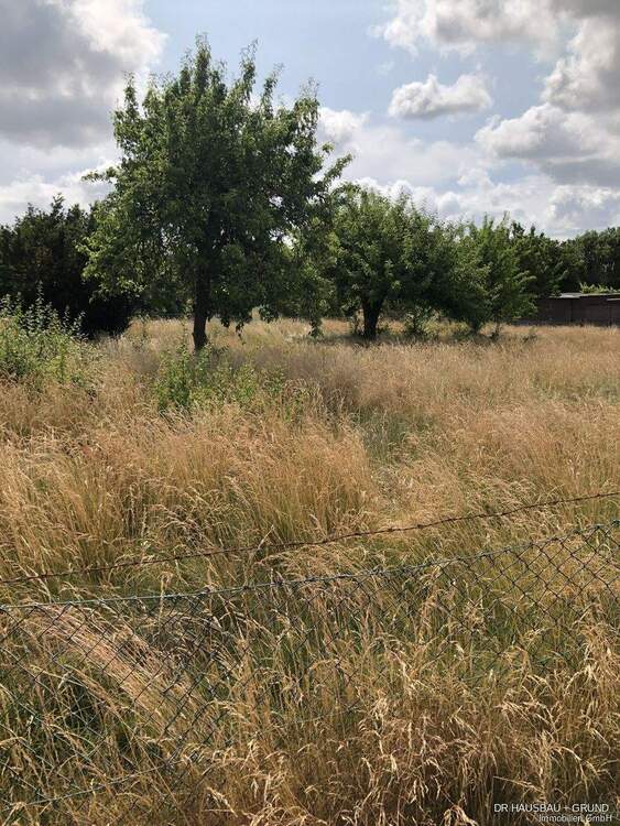 Thumbnail-Neubau-Doppelhaushälfte