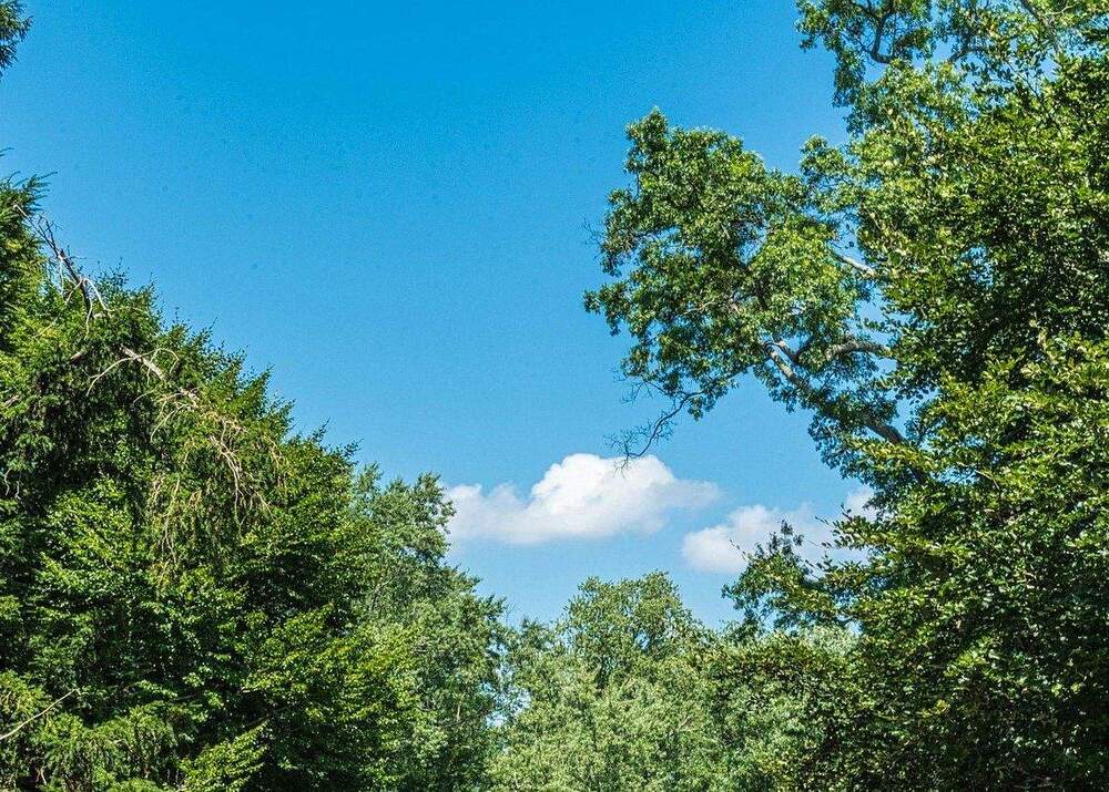 Baugrundstück in Wiesbaden