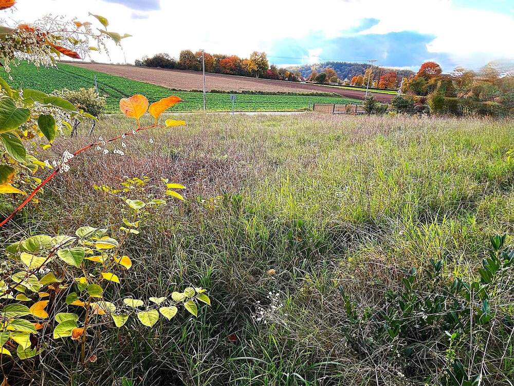 Thumbnail-Attraktives Grundstück in ÖdenthalZeitlarn – Ideal für Ihr Traumhaus RESERVIERT