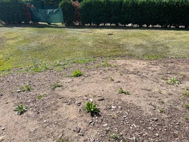 Thumbnail-200m von der Dresdner Stadtgrenze entsteht Ihr neues Traumhaus