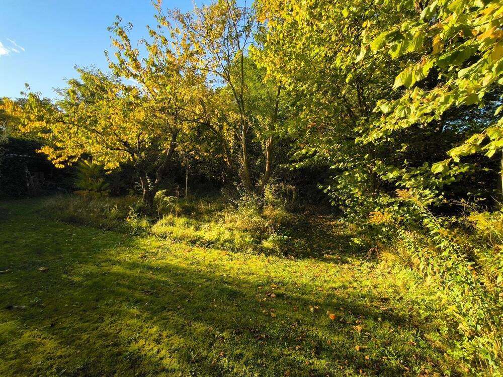 Thumbnail-1.104 m² bauträgerfreies Bau-Grundstück in Melchow - bebaubar mit Einfamilienhaus