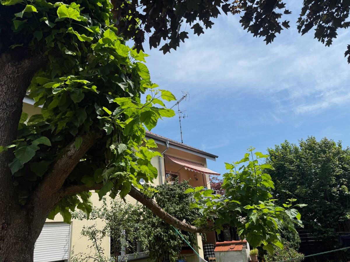 Hausansicht vorne