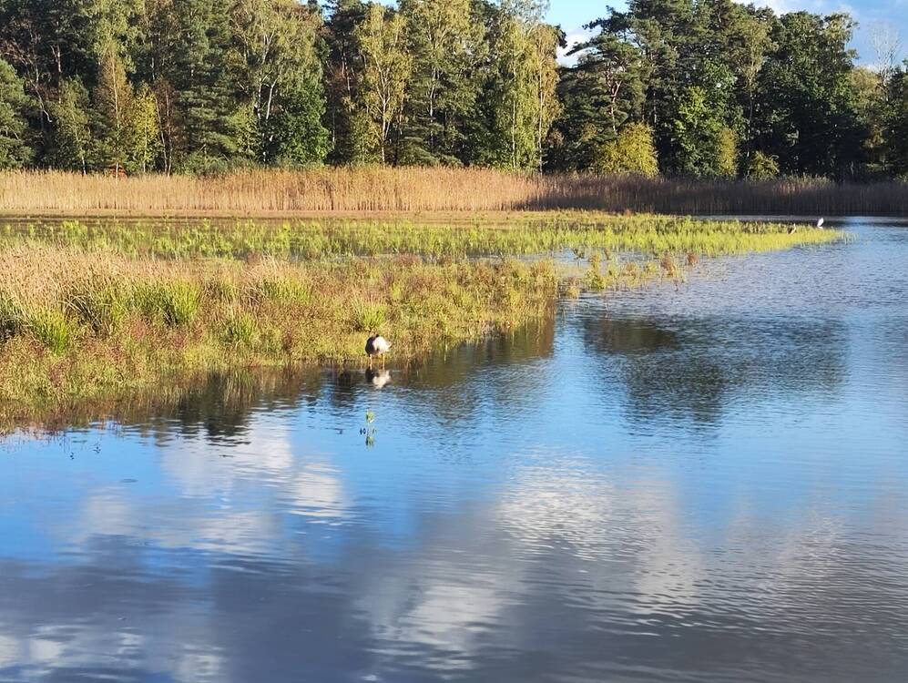 Thumbnail-Grundstück im Wochenendgebiet Würmsee! (MA-1020-43)