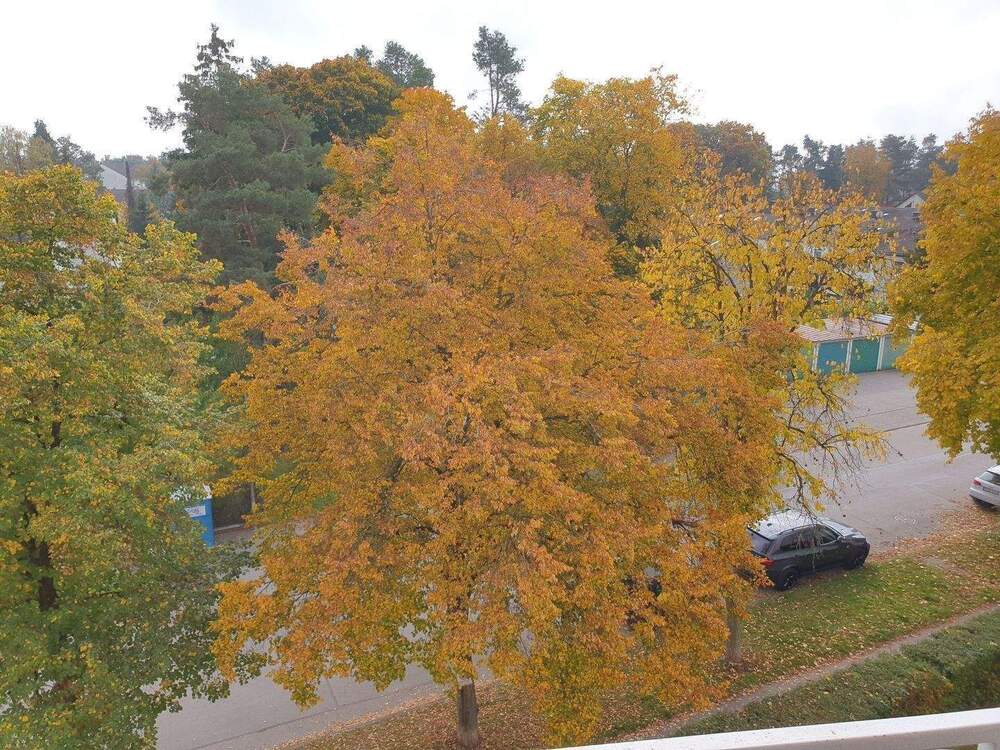 Thumbnail-Geräumige und Helle 3-ZIMMER - EINZEL-GARAGE möglich