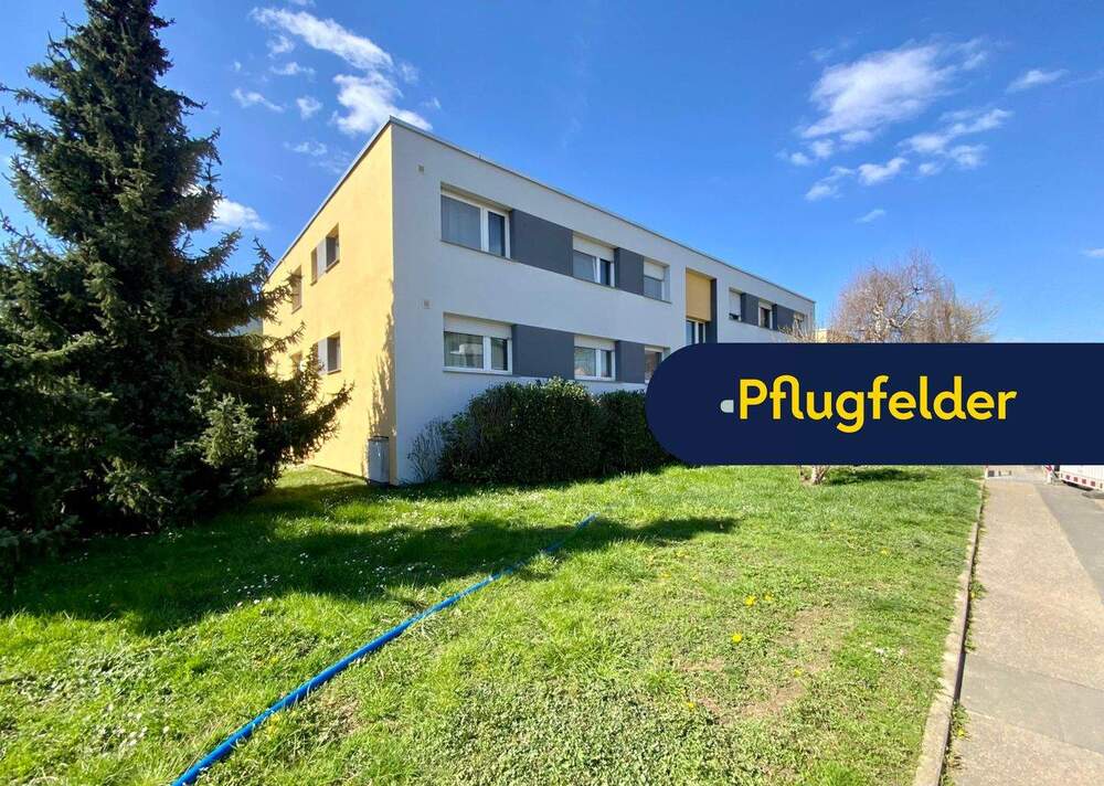 Thumbnail--Handwerker gesucht-Idyllisches Wohnen in Schlösslesfeld