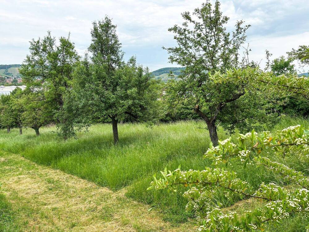 Thumbnail-Grundstück mit gemischter Nutzungsmöglichkeit