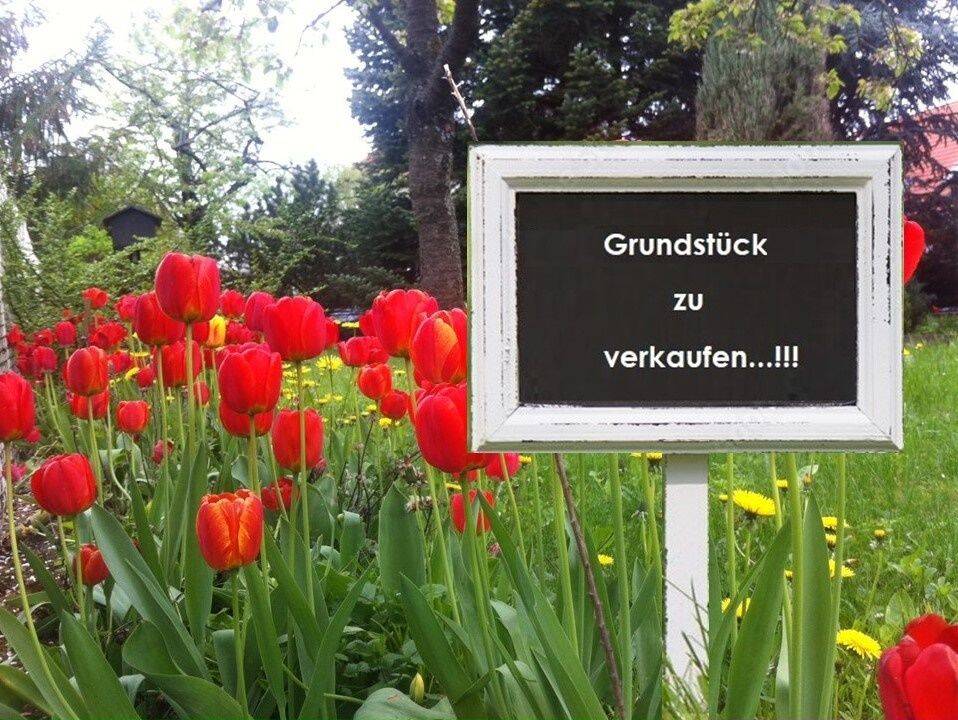 Thumbnail-BAUGRUNDSTÜCK in 91180 HEIDECK - Laibstadt