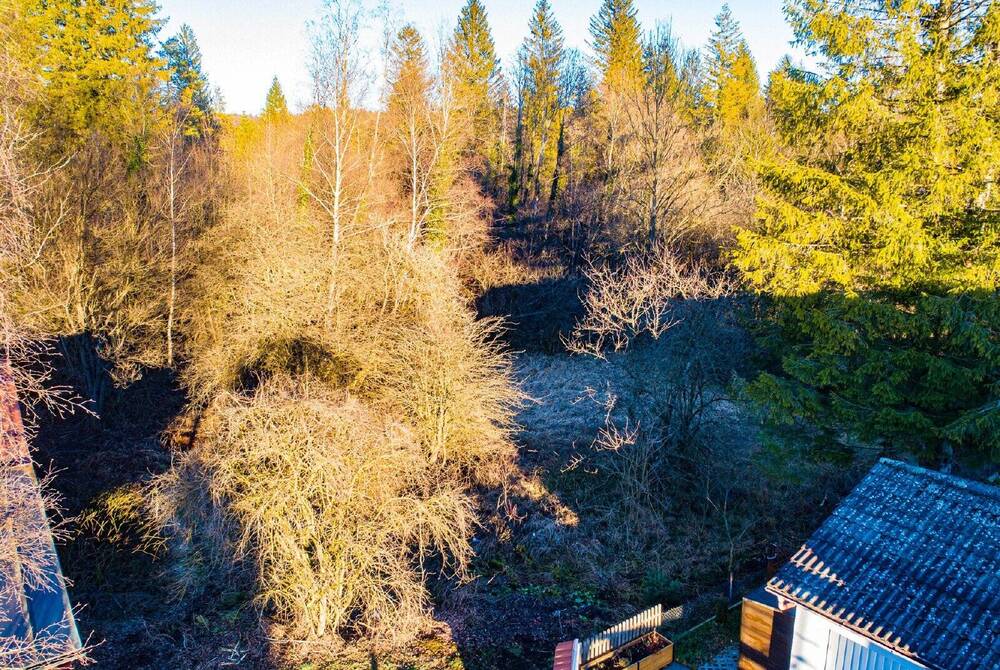 Thumbnail-WOLFRATSHAUSEN: HERRLICHES BAUGRUNDSTÜCK AM NATURSCHUTZGEBIET