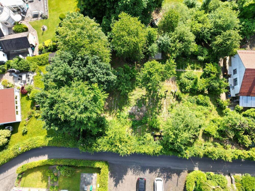 Ansicht des gesamten Grundstücks