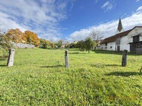 Thumbnail-Ländliche Idylle für Mensch und Tier - Ehemalige Landwirtschaft in Bieswang