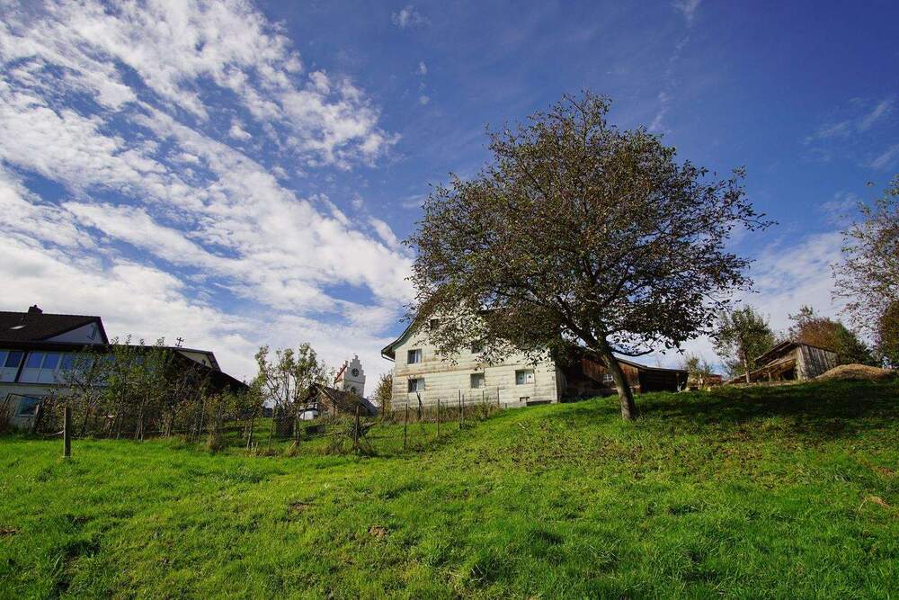 Thumbnail-Ruheoase für Kreative und Naturfreunde - Grundstück in Herdwangen-Schönach