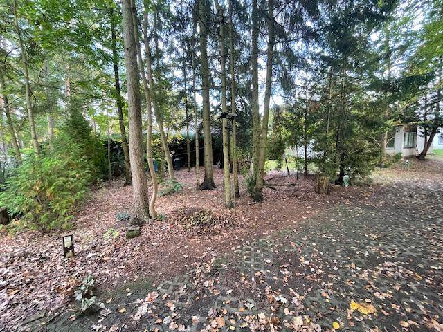 Thumbnail-Leben zwischen Seen und Wäldern - Großes Baugrundstück in Wandlitz