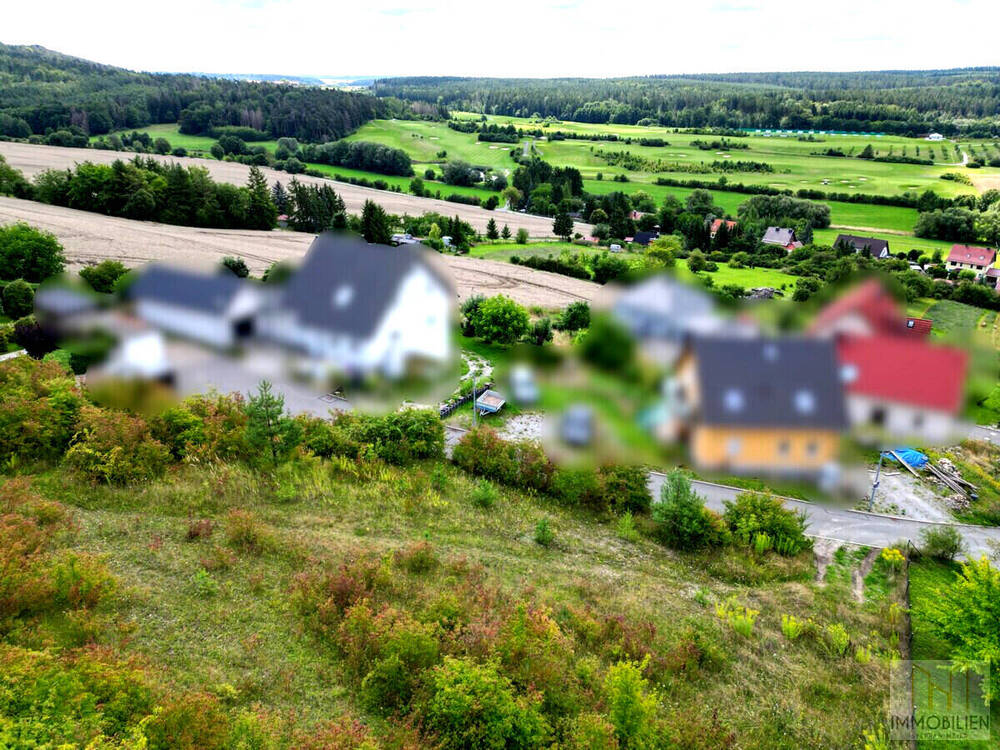 Ihr täglicher Blick ins Grüne