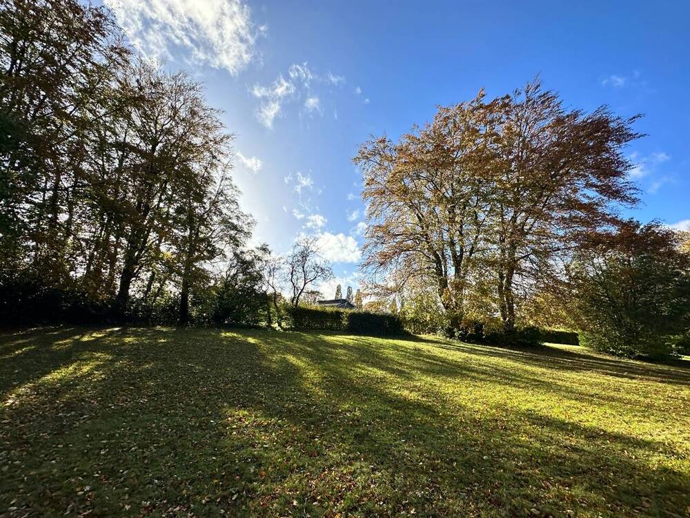 Grundstück 2