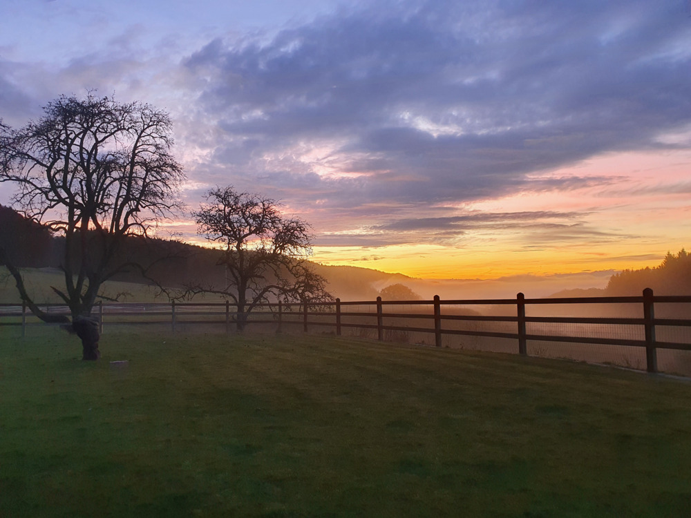 Thumbnail-Exklusives Reiteranwesen mit Alpenpanorama – Pferdeparadies mit Perspektive V13084