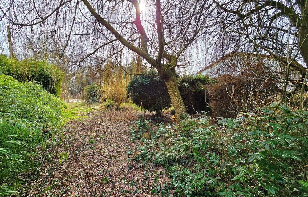 Thumbnail-Traumhaftes Grundstück am Naturbad - Gestalten Sie Ihre Zukunft in Dessau-Mosigkau