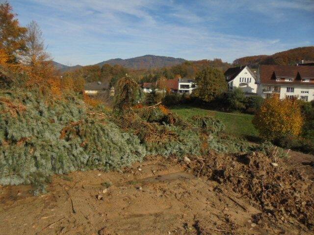 Thumbnail-Doppelhaushälfte in erstklassiger Wohnlage