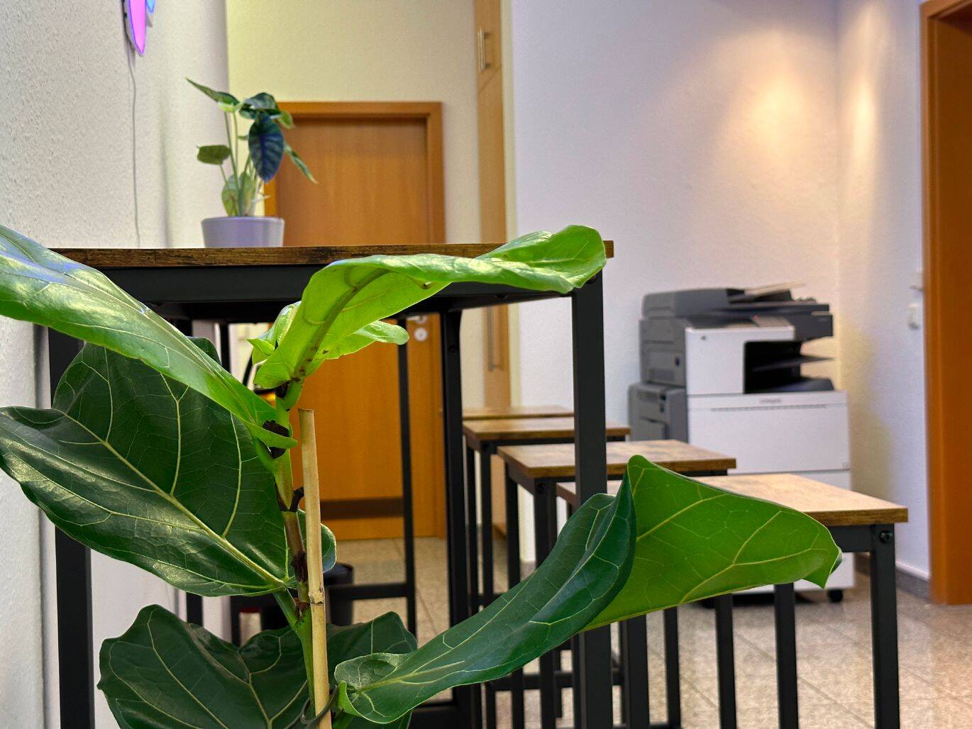 Thumbnail-Modernes Büro am Stadtpark - All Inclusive, flexibel & inkl. Meetingraum