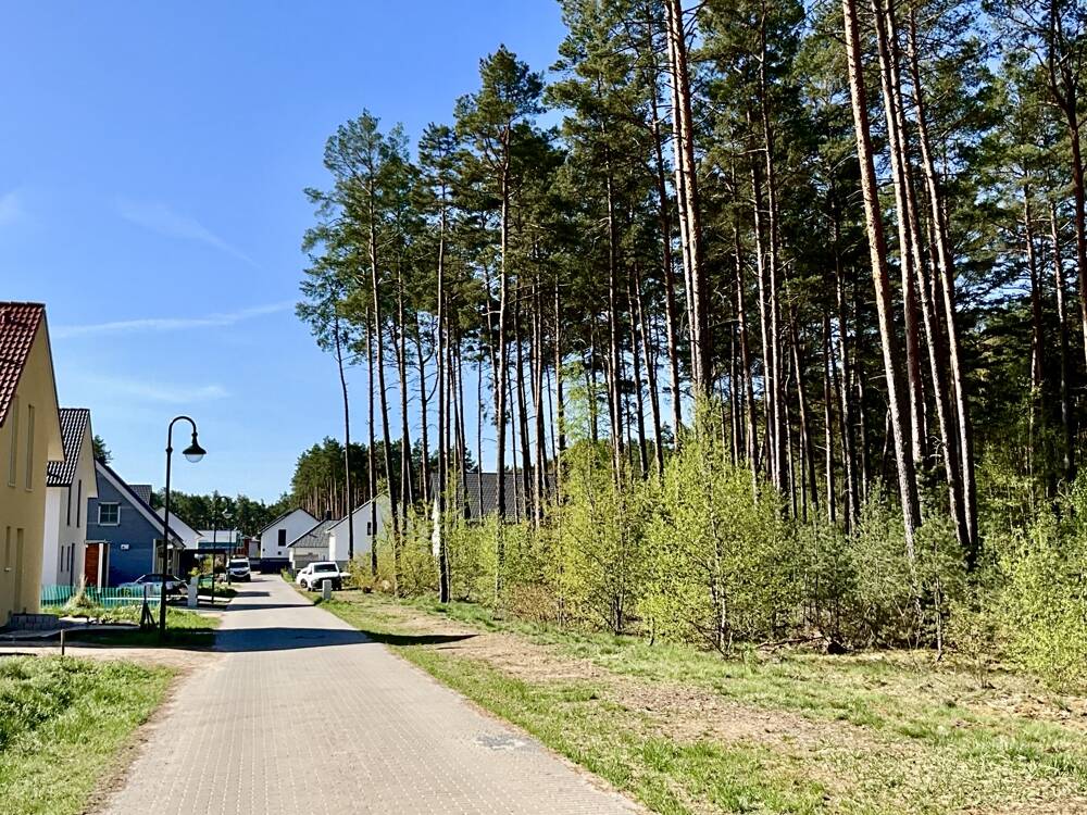 Thumbnail-Grundstück im grünen Borkwalde mit Nachbarschaftsflair