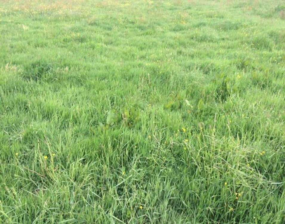 Thumbnail-Attraktives 7.600-m²-Gewerbegrundstück in Leipzig-Heiterblick - provisionsfrei im Share Deal