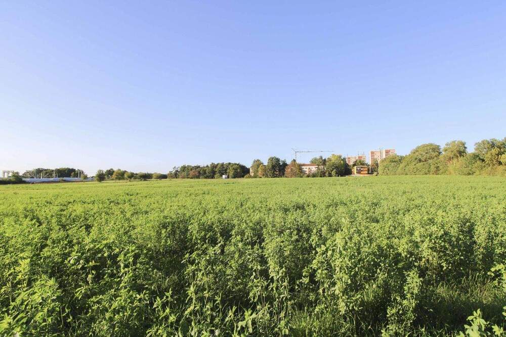 Thumbnail-Grüne Aussichten: Grundstück mit Entwicklungschance in Erlangen