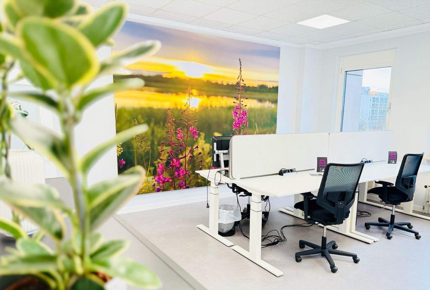 Thumbnail-Moderner Coworking Space im Münchner Zentrum: Schreibtischplätze 1